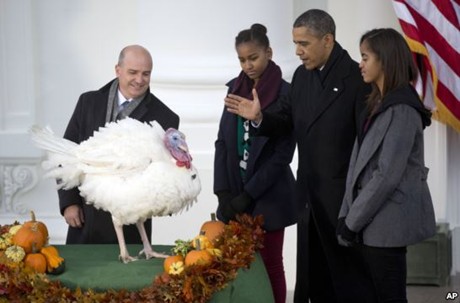 Nước Mỹ rộn ràng đón Lễ Tạ ơn. Tổng thống Barack Obama với con gái Sasha và Malia tiếp nối truyền thống “ân xá gà tây” của ngày Lễ Tạ ơn.